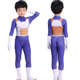 Cosplay Vegeta Dragon Ball Z