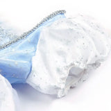 Costume Robe Bleue Princesse Cendrillon