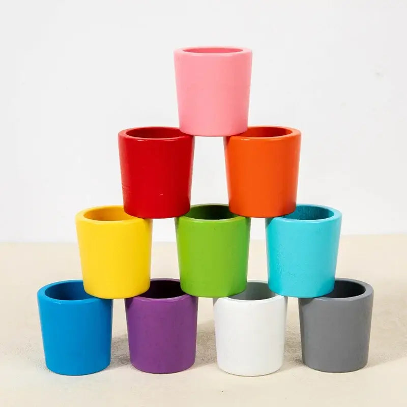 Jeu de tri des couleurs Montessori en bois