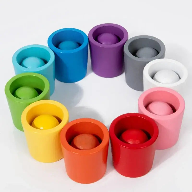 Jeu de tri des couleurs Montessori en bois