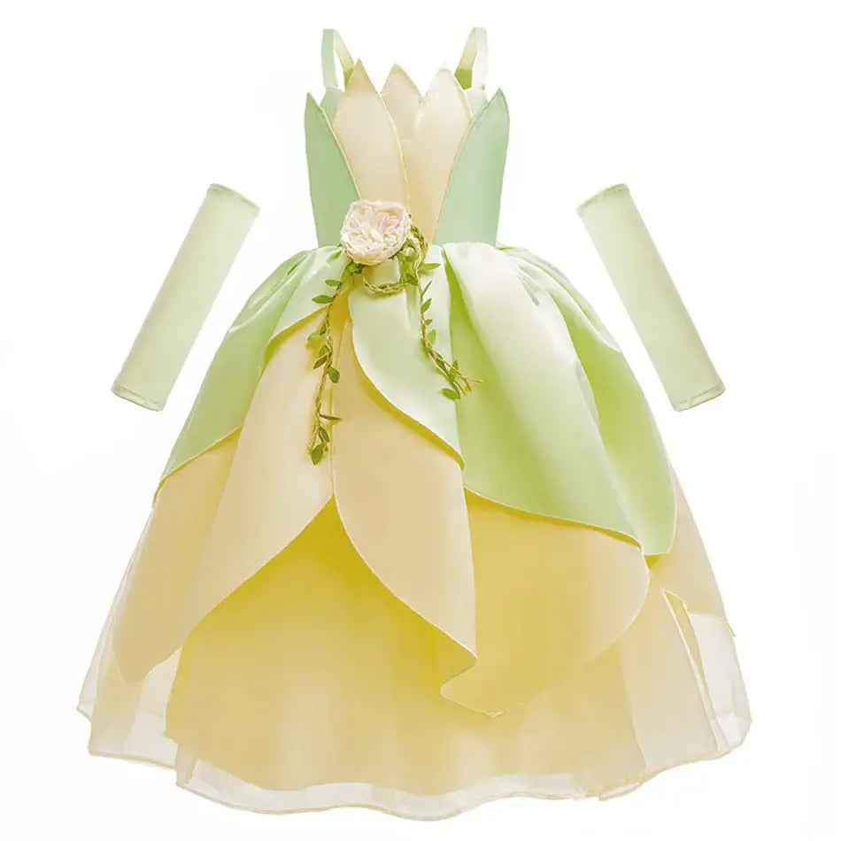 Déguisement Robe Princesse Grenouille