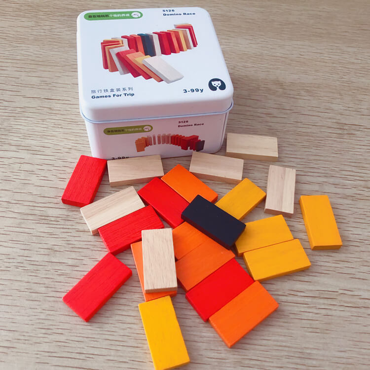 Boîte de Puzzle de Voyage Montessori (Blocs Cognitifs 6-en-1)