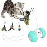 Jouet Interactif Electronique pour chat