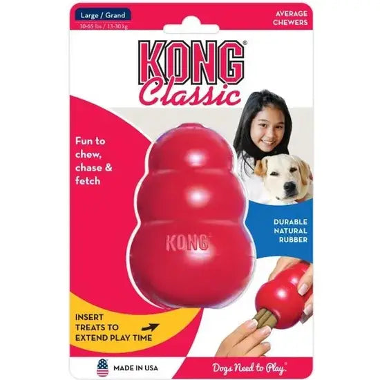 Jouet Kong Pour Chien