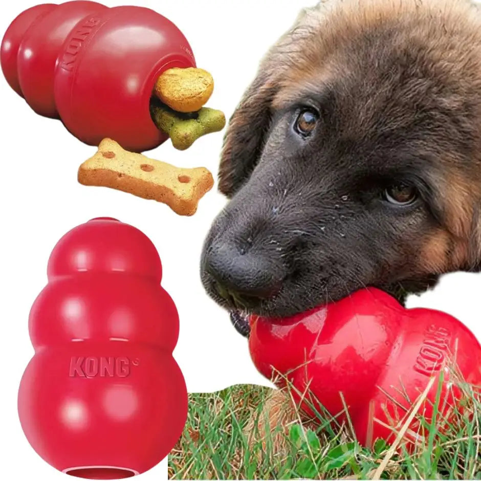 Jouet Kong Pour Chien