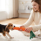 Jouet pour chien carotte
