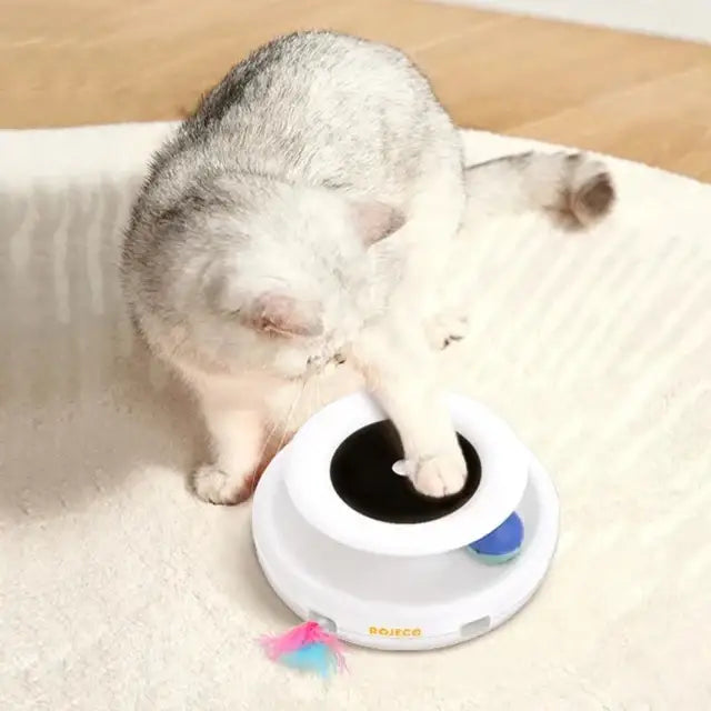 Jouets pour chats 2 en 1 électroniques