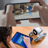 Loona Robot Intelligent Domestique