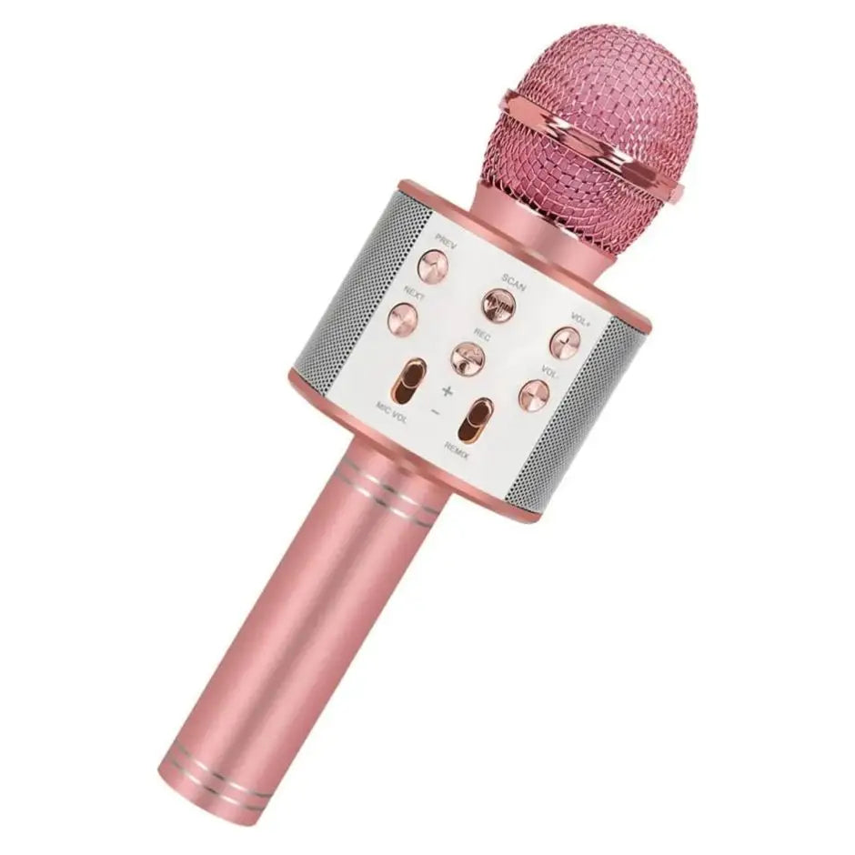 Microphone Karaoké portable pour enfants