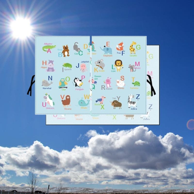 Pare soleil voiture | BlockSun