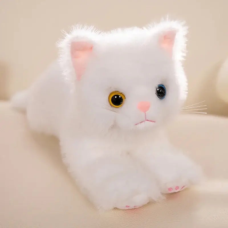 Peluche Chaton Mignon Doudou