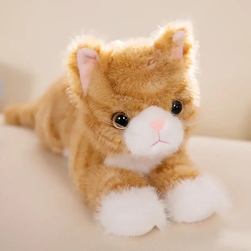 Peluche Chaton Mignon Doudou