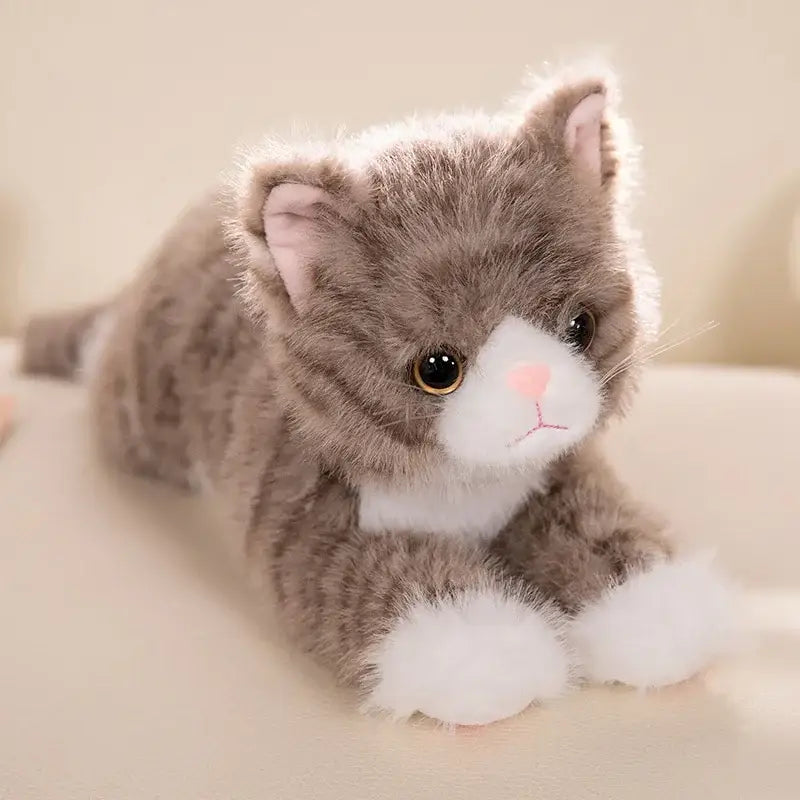 Peluche Chaton Mignon Doudou