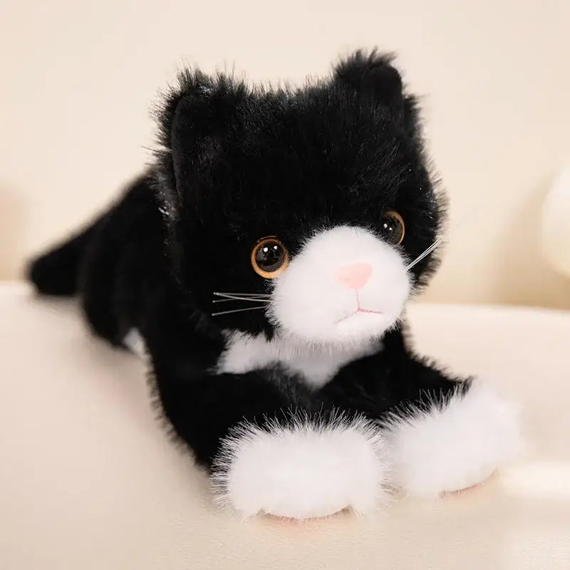 Peluche Chaton Mignon Doudou