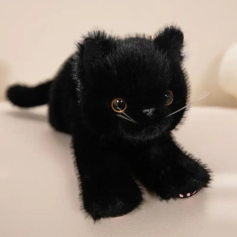 Peluche Chaton Mignon Doudou