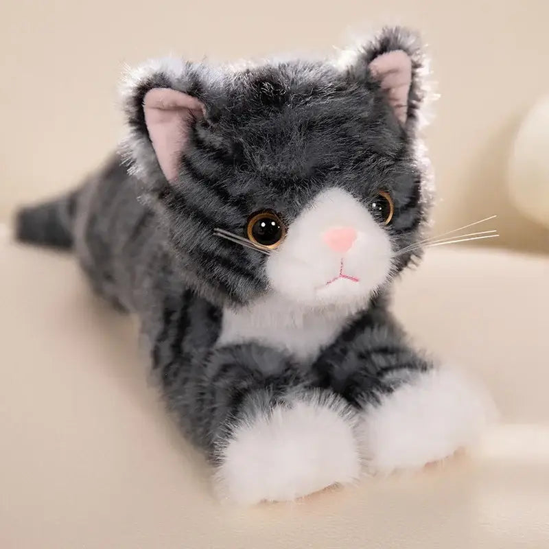 Peluche Chaton Mignon Doudou