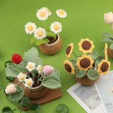 Peluche Crochet Pot de Fleurs