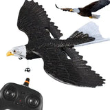Planeur télécommandé Oiseau Aigle