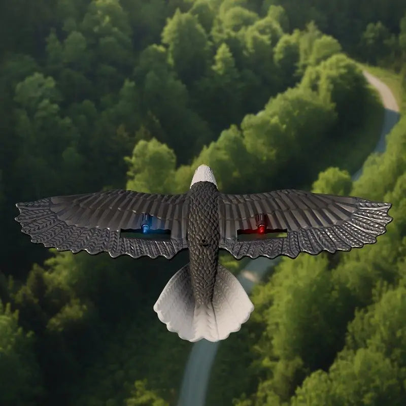 Planeur télécommandé Oiseau Aigle