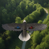 Planeur télécommandé Oiseau Aigle