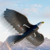 Planeur télécommandé Oiseau Aigle