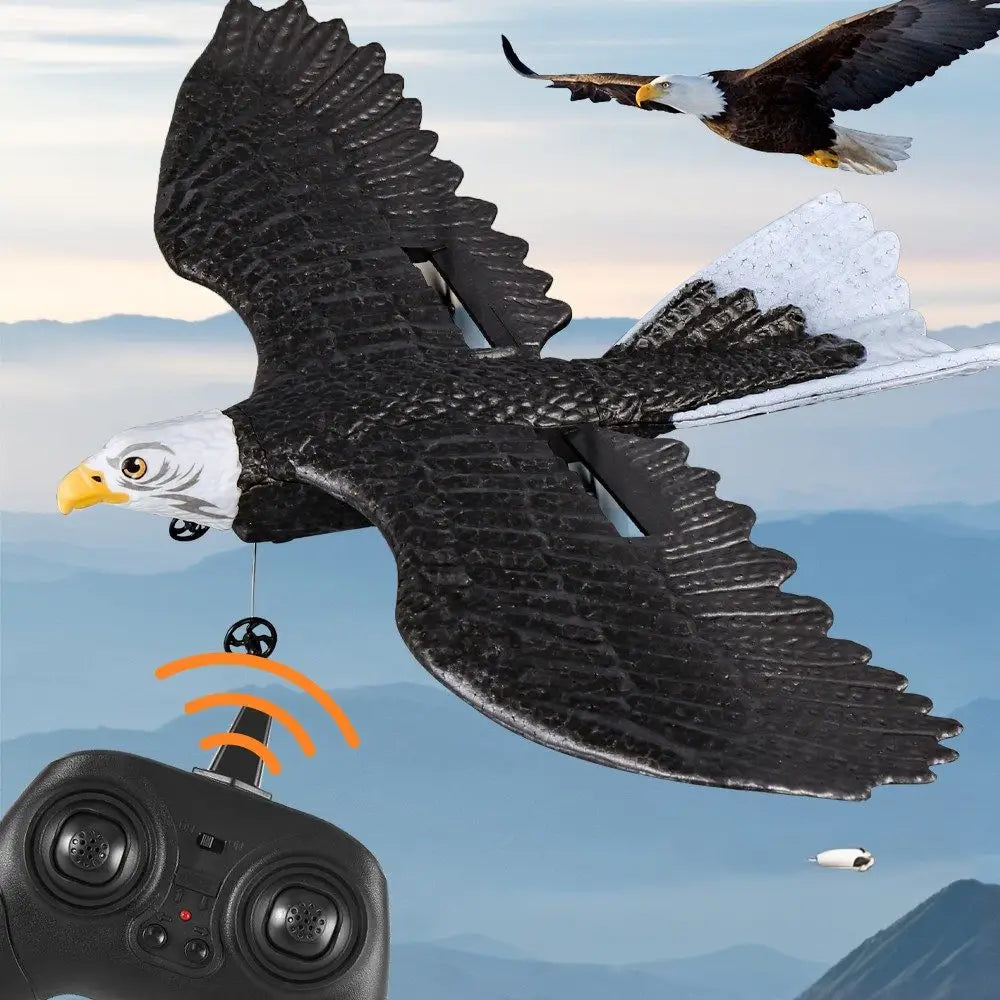 Planeur télécommandé Oiseau Aigle