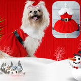 Robe de Noël pour chienne