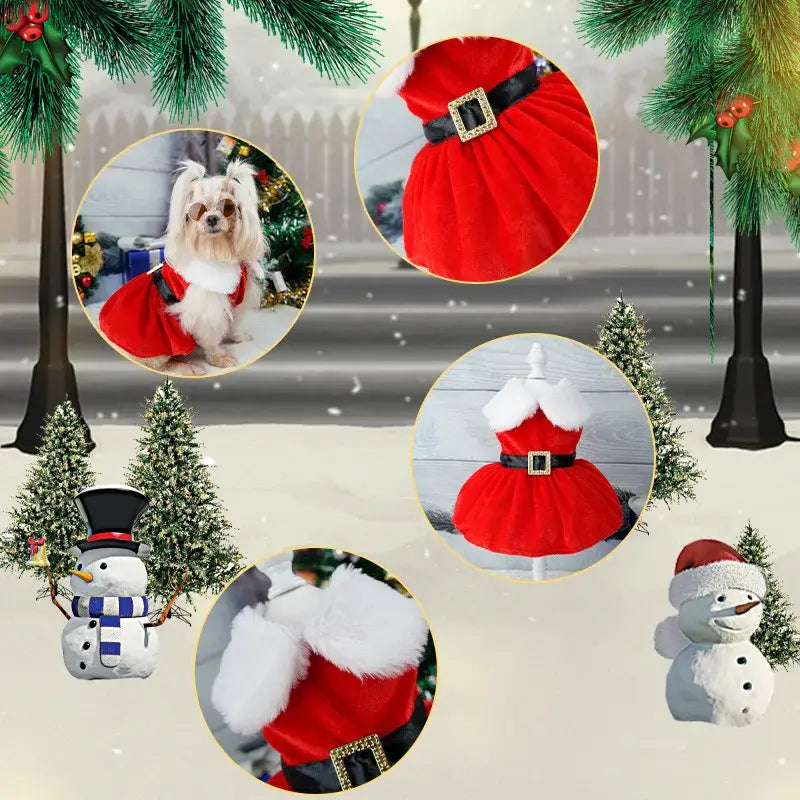 Robe de Noël pour chienne
