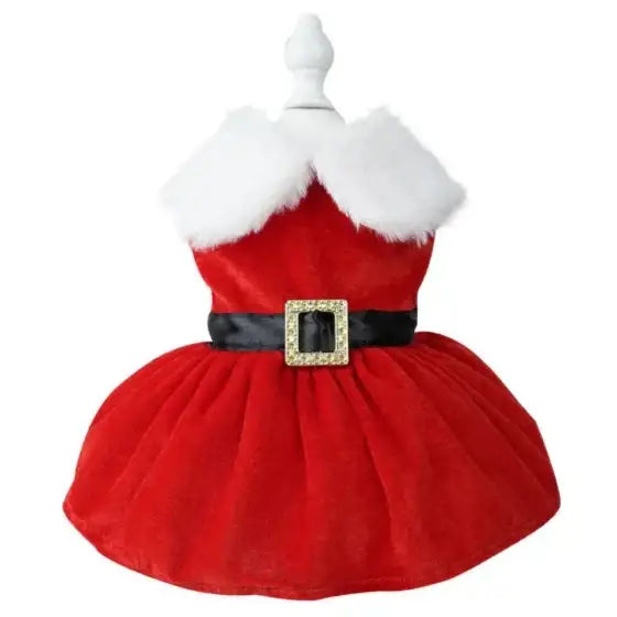 Robe de Noël pour chienne
