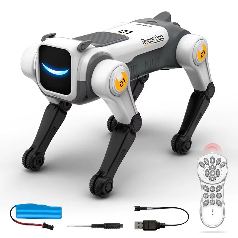 Robot Interactif Télécommandé pour Enfant | BuddyBot