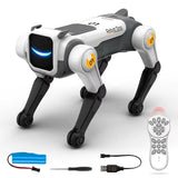 Robot Interactif Télécommandé pour Enfant | BuddyBot