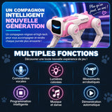 Robot Interactif Télécommandé pour Enfant | BuddyBot