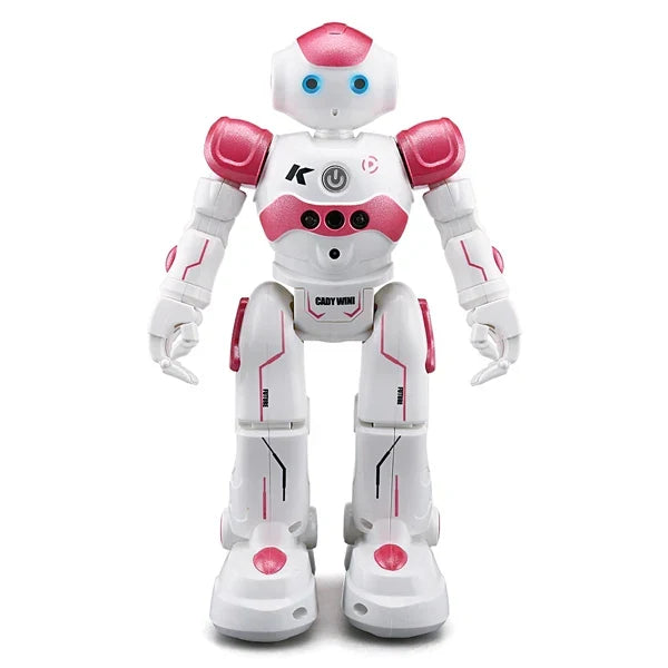 Jouet robot/ RoboJoy