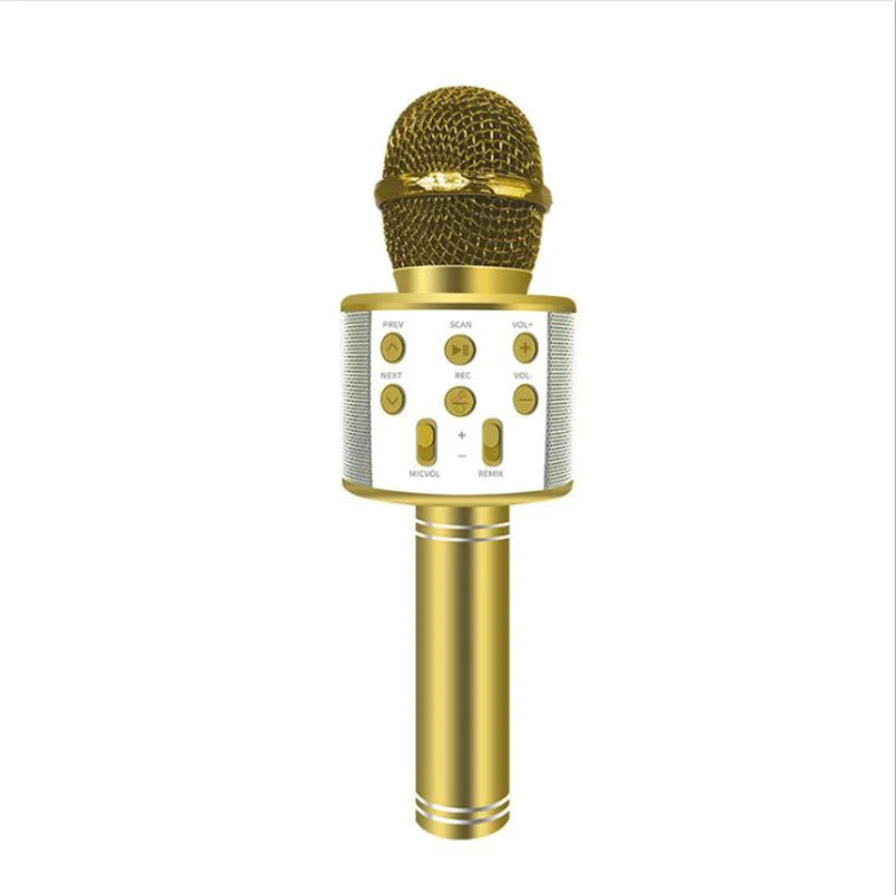Micro Karaoké Enfant sans Fil