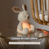 Mon beau doudou - veilleuse lapin